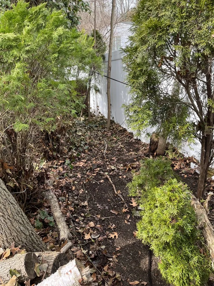 Reliable yard cleanup service in Shoreham, NY by Joe Ts Landscaping