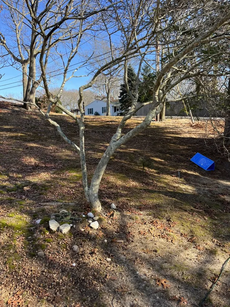 Local garden landscaping experts serving Shoreham, NY - Joe Ts Landscaping