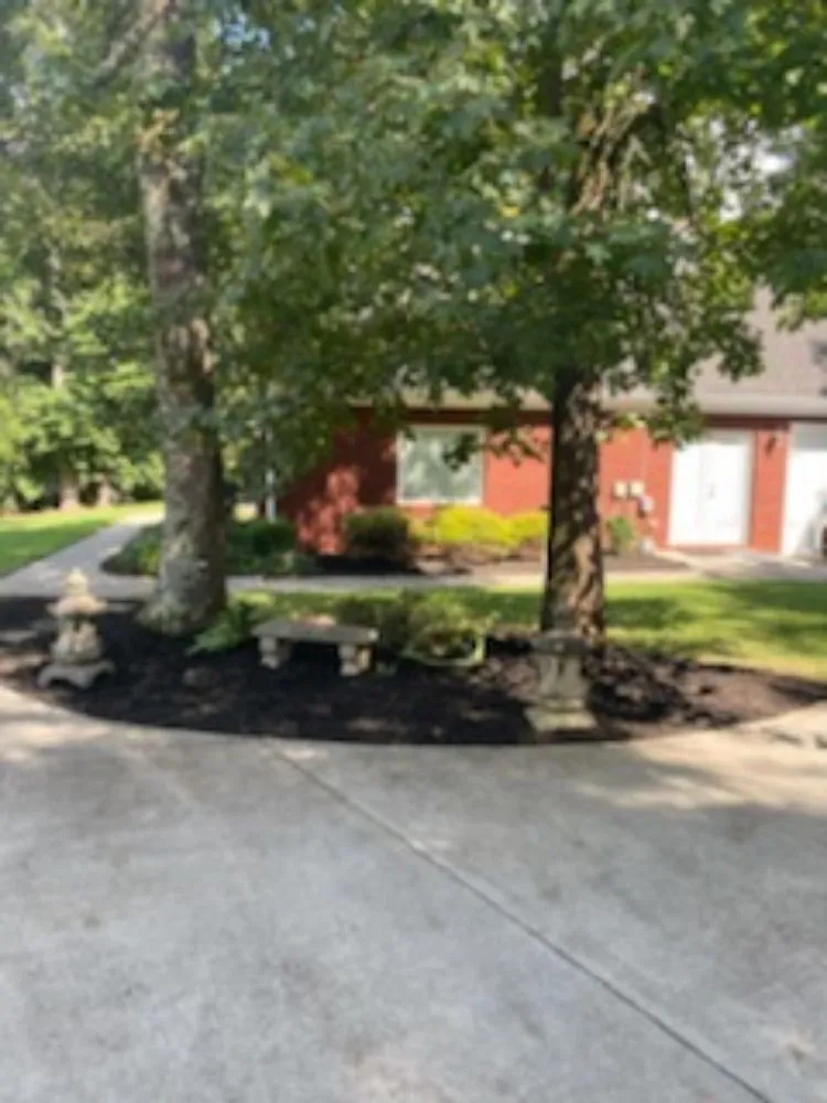 Local yard cleanup service experts serving Snellville, GA - JoeAbel Lawn Care