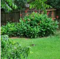 Affordable lawn care service for homes in Snellville, GA by JoeAbel Lawn Care