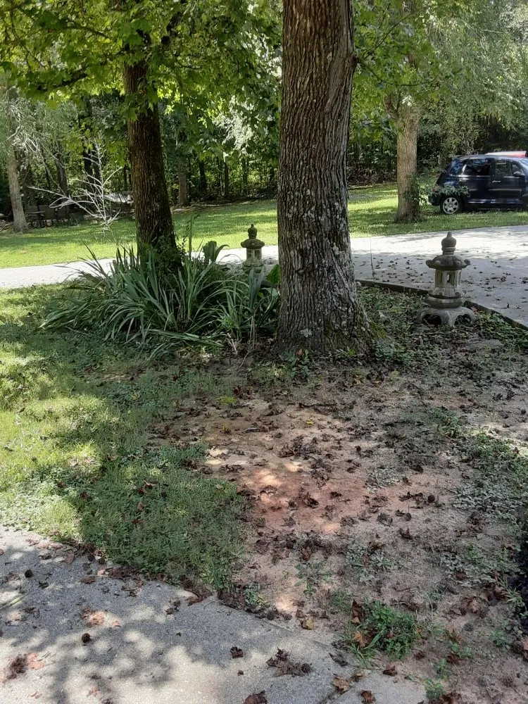 Custom yard cleanup service in Snellville, GA by JoeAbel Lawn Care