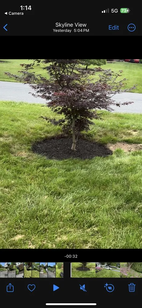 Custom yard cleanup service experts serving Lebanon, PA - Joeis Jackson