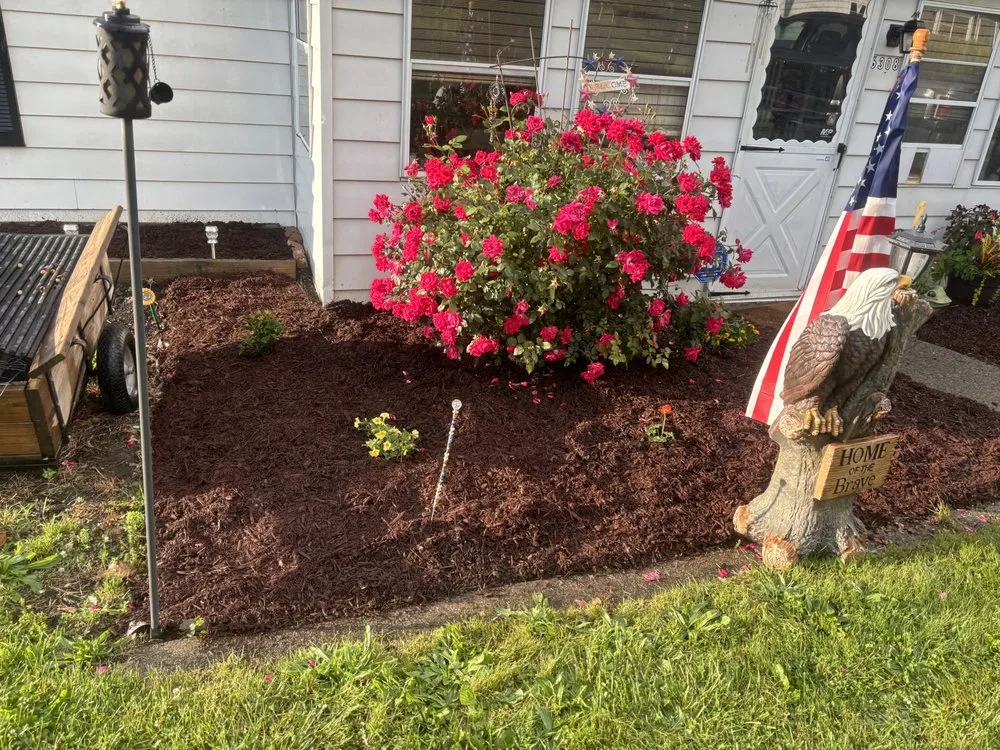 Expert yard cleanup service in Lebanon, PA by Joeis Jackson