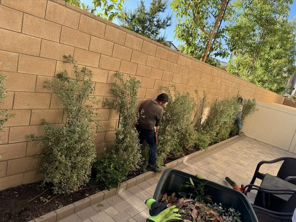 Reliable outdoor landscaping in Mission Viejo, CA by Joel Alba's Garden Services