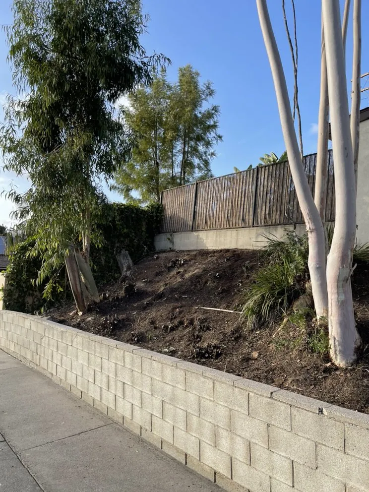 Expert garden landscaping experts serving Mission Viejo, CA - Joel Alba's Garden Services