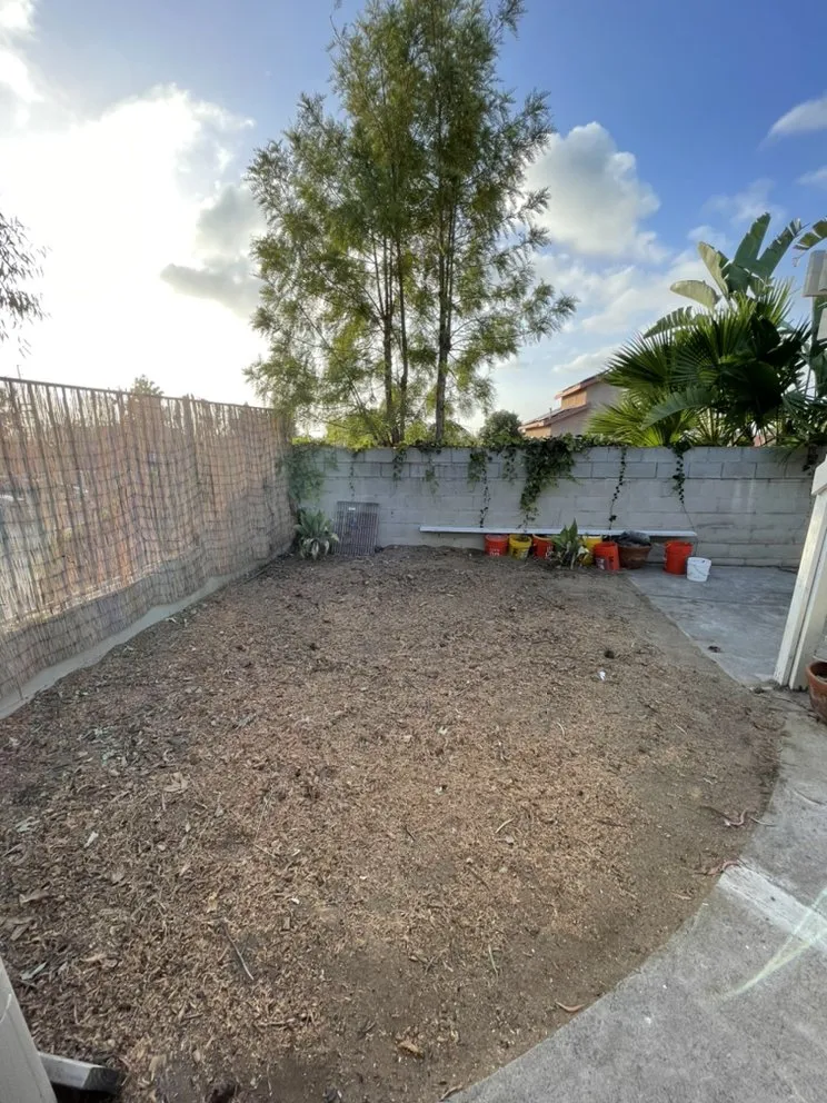 Custom lawn care service for outdoor upgrades in Mission Viejo, CA by Joel Alba's Garden Services