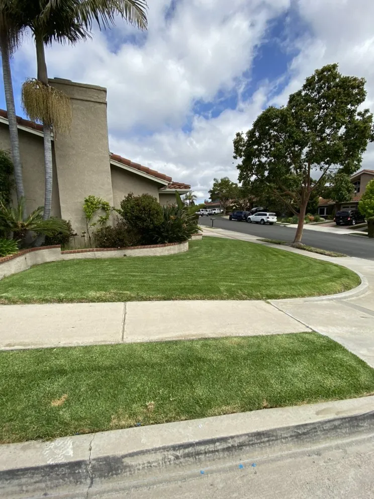 Reliable lawn care service in Mission Viejo, CA - Joel Alba's Garden Services