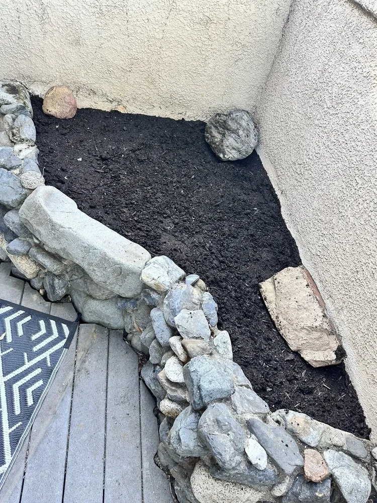 Expert yard cleanup service experts serving Mission Viejo, CA - Joel Alba's Garden Services