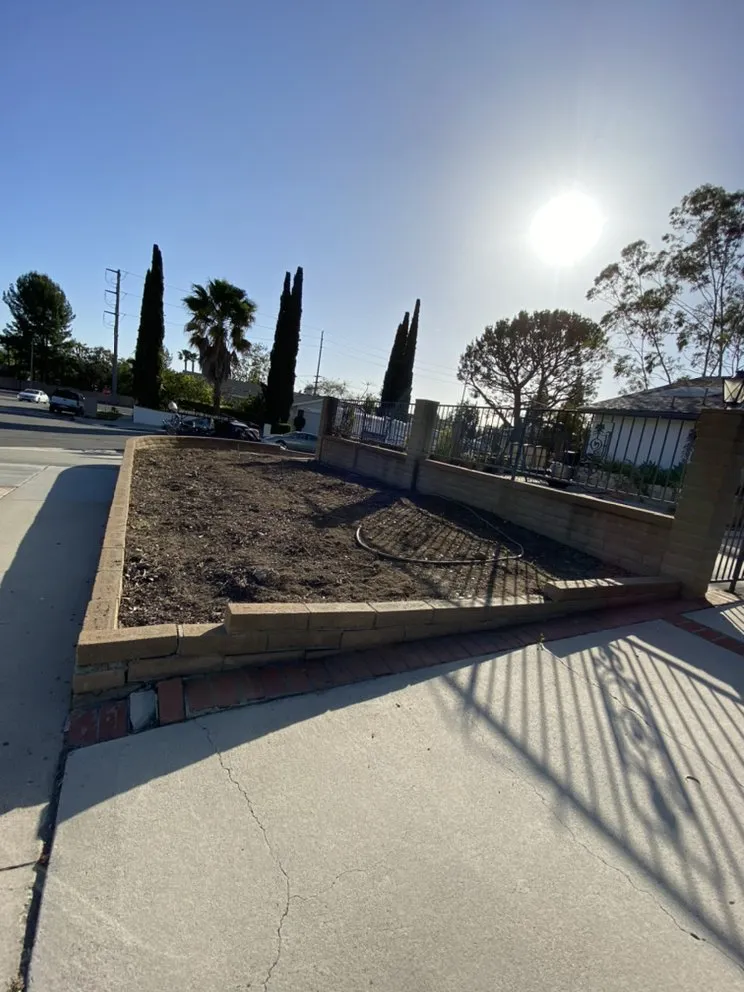 Top-rated yard maintenance in Mission Viejo, CA by Joel Alba's Garden Services