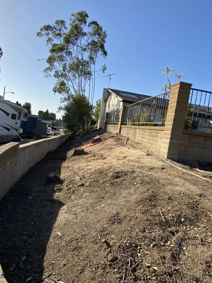 Local yard maintenance near you across Mission Viejo, CA - Joel Alba's Garden Services