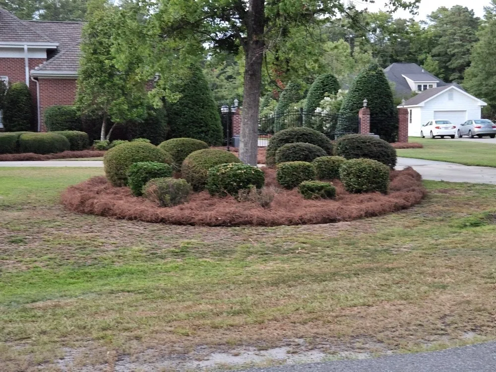 Affordable yard cleanup service in Lumberton, NC by Joel Cox Lawn Care