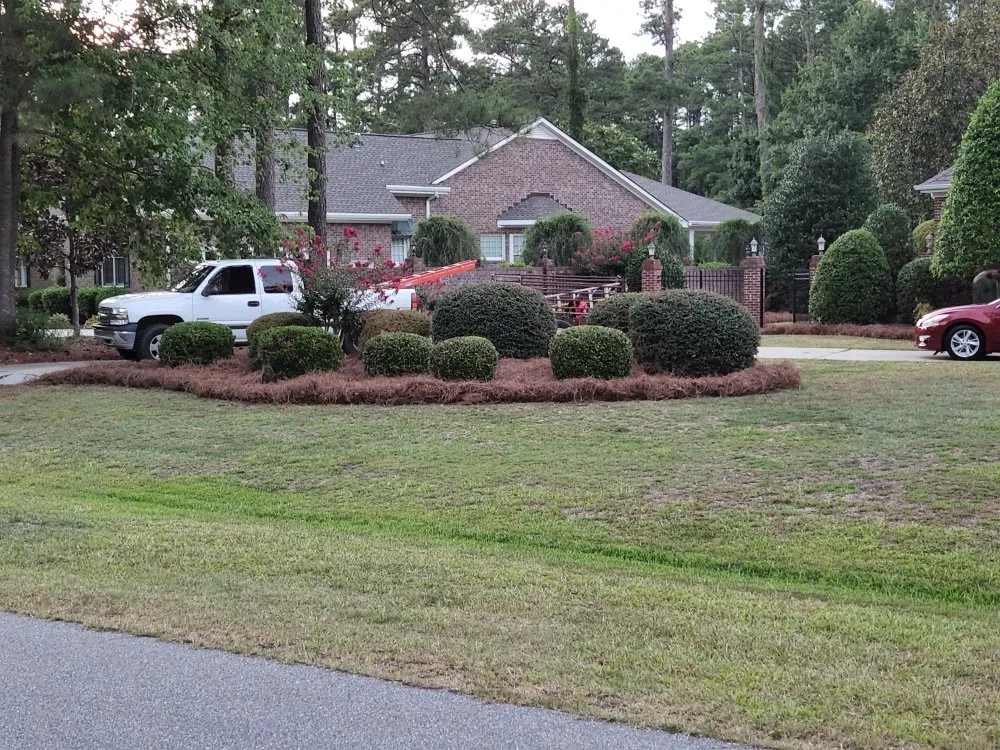 Expert lawn mowing service with custom design in Lumberton, NC by Joel Cox Lawn Care