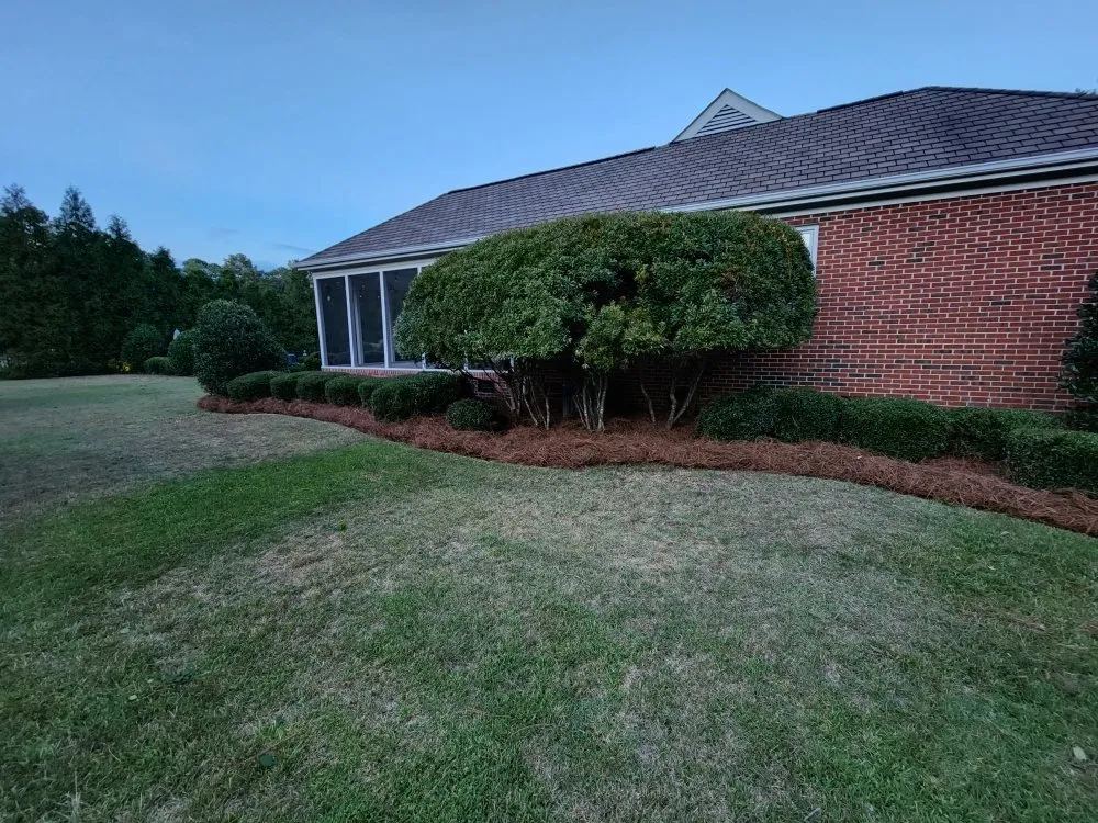 Local yard cleanup service in Lumberton, NC by Joel Cox Lawn Care
