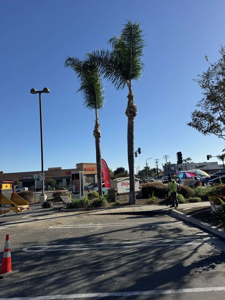 Trusted garden landscaping in Stanton, CA by Joel Espinoza Landscape