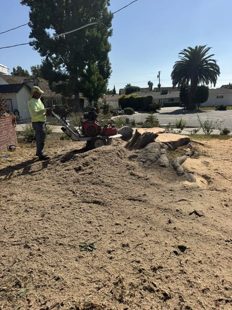 Top-rated outdoor landscaping in Stanton, CA - Joel Espinoza Landscape