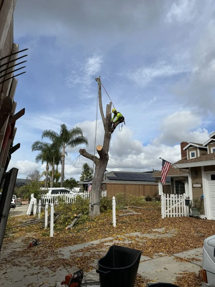 Affordable landscape installation experts serving Stanton, CA - Joel Espinoza Landscape