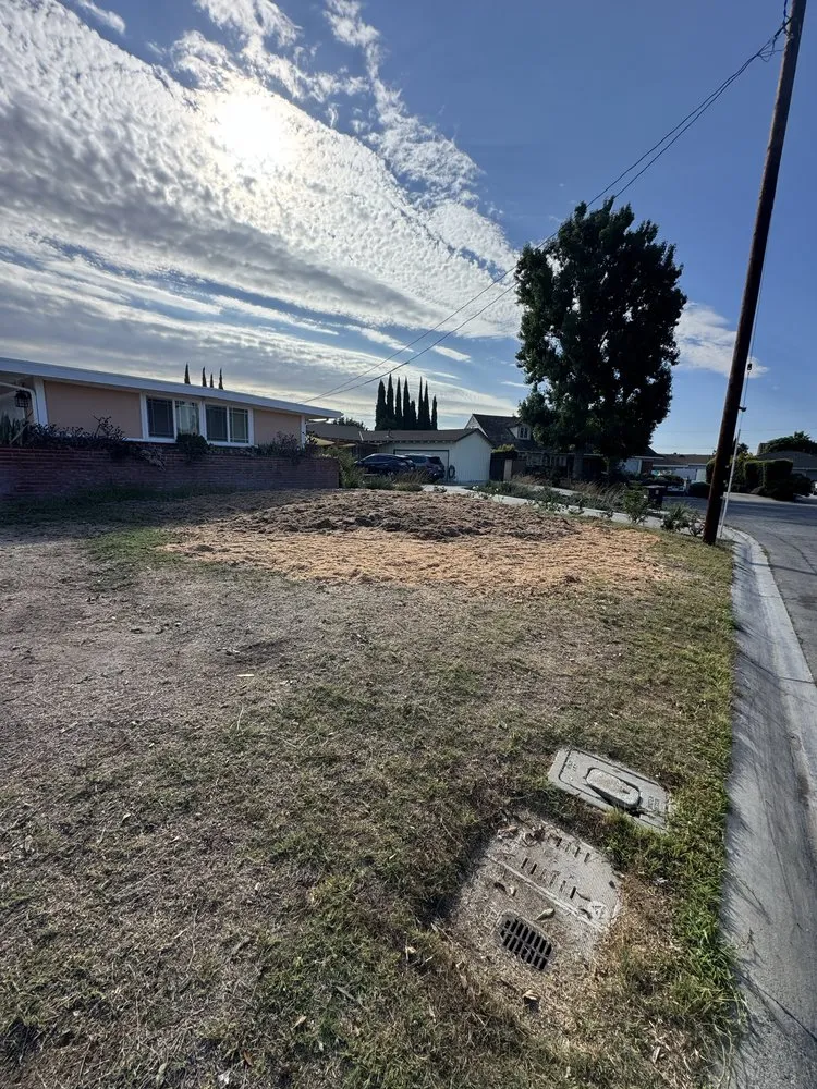 Professional garden landscaping experts serving Stanton, CA - Joel Espinoza Landscape