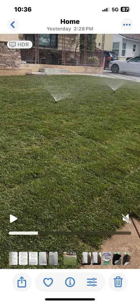 Custom landscape installation experts serving Stanton, CA - Joel Espinoza Landscape