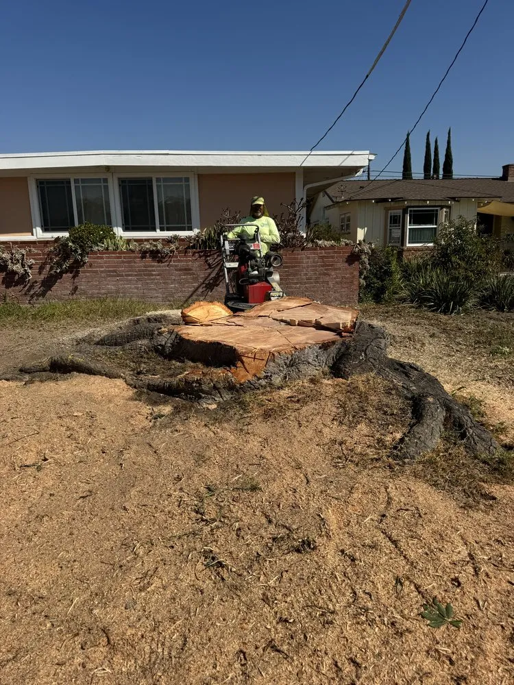 Professional landscape design in Stanton, CA by Joel Espinoza Landscape
