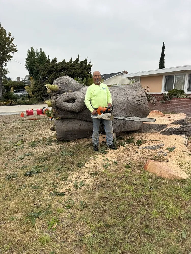 Affordable landscape design in Stanton, CA by Joel Espinoza Landscape