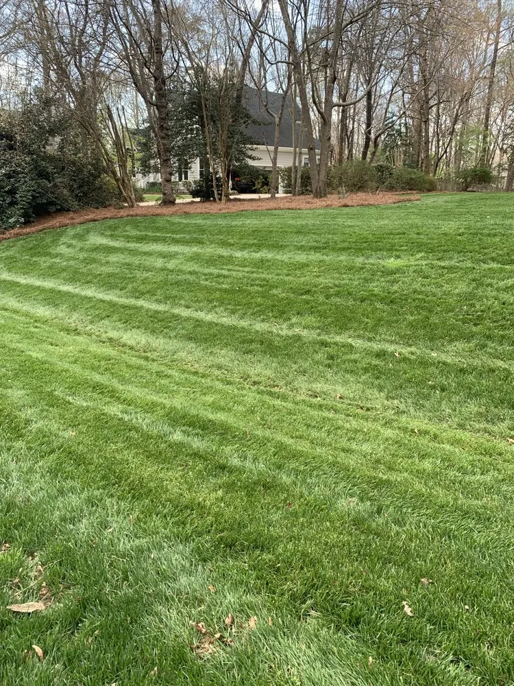 Trusted yard cleanup service near you across Willow Spring, NC - Joel Lawn Care