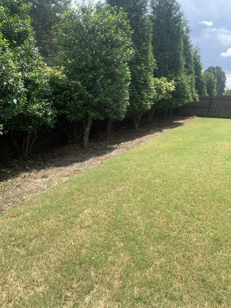 Custom landscaping services experts serving Willow Spring, NC - Joel Lawn Care