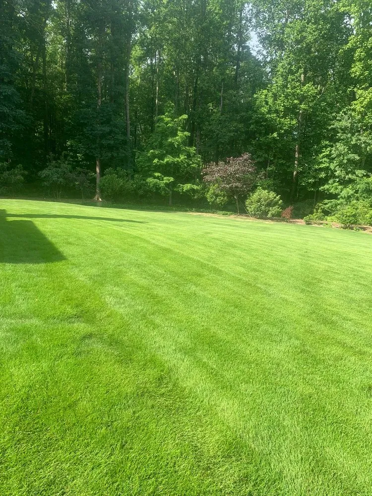 Local landscape installation in Willow Spring, NC by Joel Lawn Care
