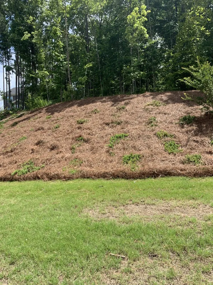 Top-rated outdoor landscaping near you in Willow Spring, NC by Joel Lawn Care