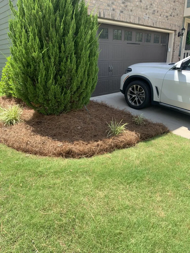 Professional lawn care service in Willow Spring, NC by Joel Lawn Care