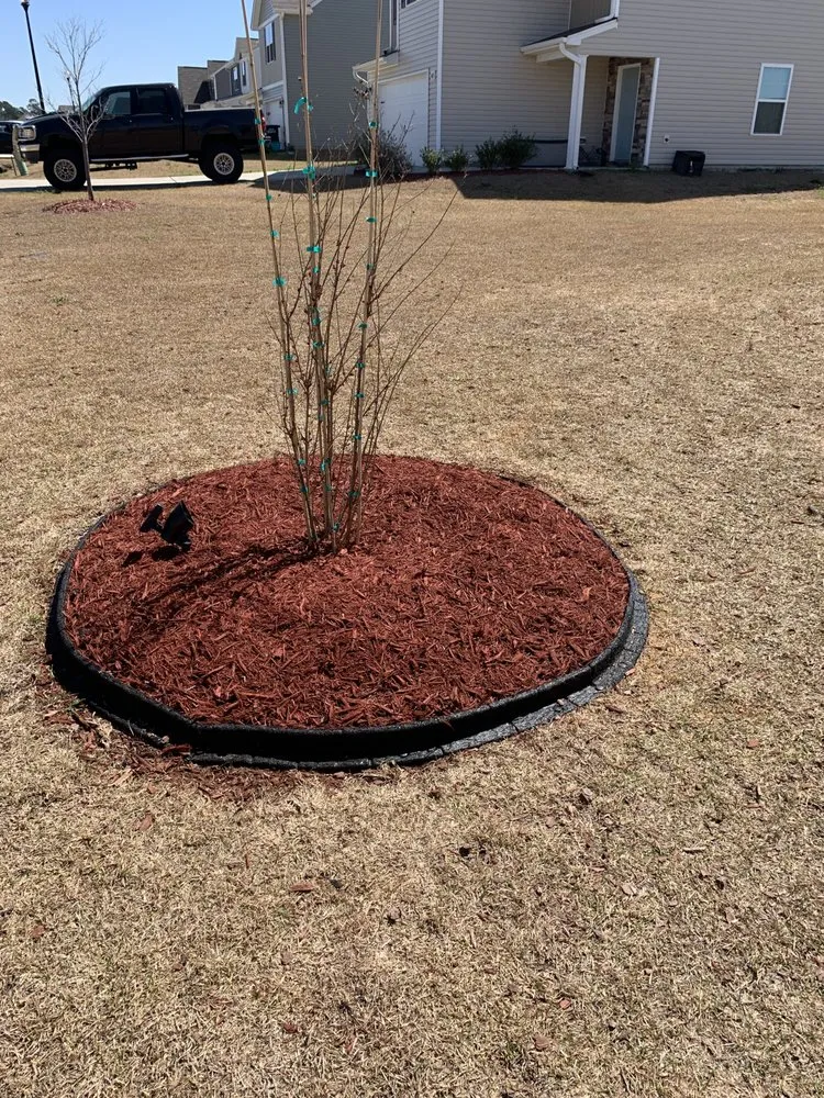 Expert outdoor landscaping in Willow Spring, NC by Joel Lawn Care