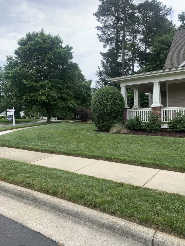 Top-rated landscaping services experts serving Willow Spring, NC - Joel Lawn Care