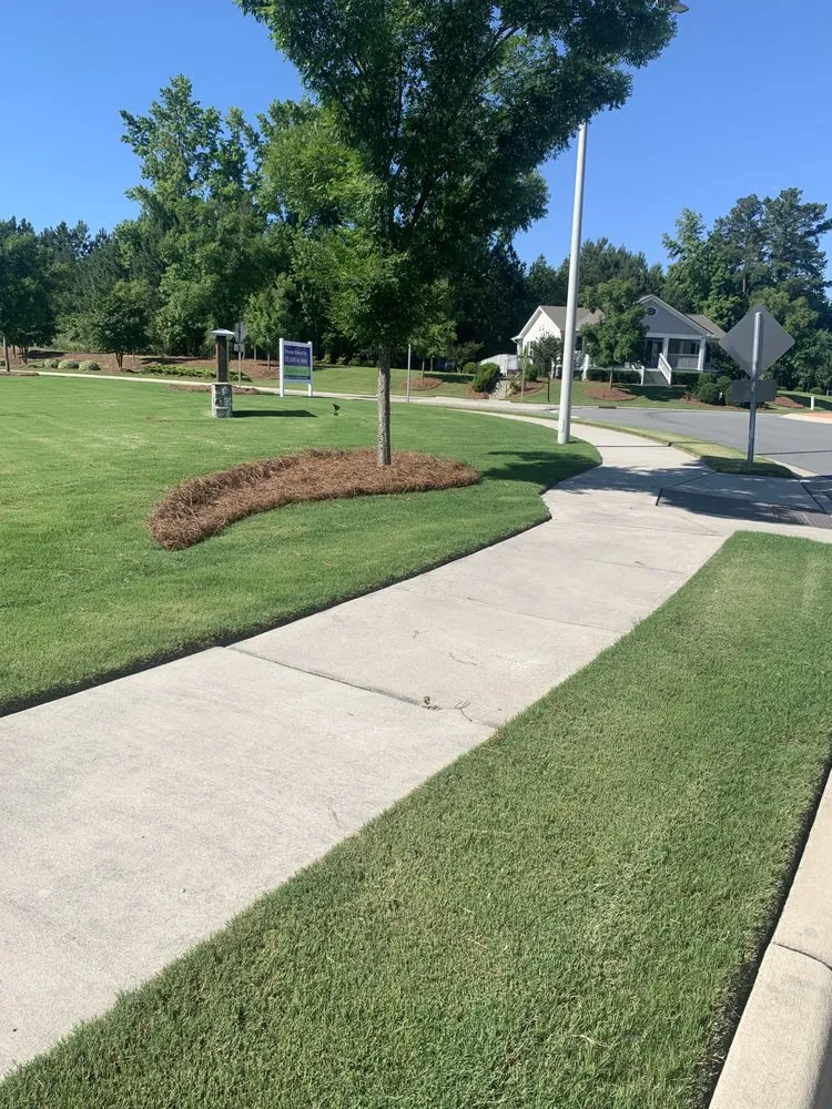 Custom landscaping services for year-round maintenance across Willow Spring, NC - Joel Lawn Care