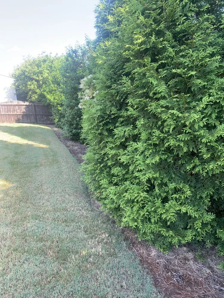 Reliable residential landscaping experts serving Willow Spring, NC - Joel Lawn Care