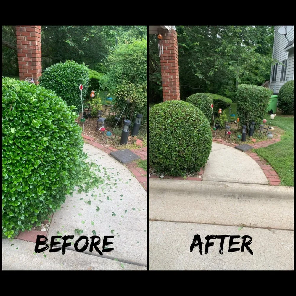 Professional outdoor landscaping near you across Willow Spring, NC - Joel Lawn Care