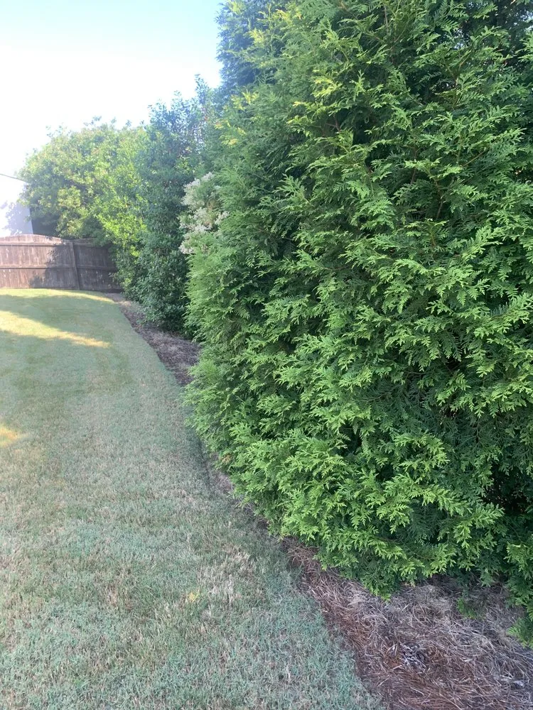 Top-rated garden landscaping for outdoor upgrades across Willow Spring, NC - Joel Lawn Care