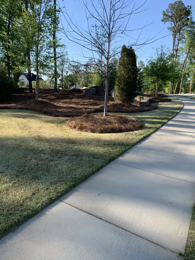 Professional residential landscaping in Willow Spring, NC - Joel Lawn Care