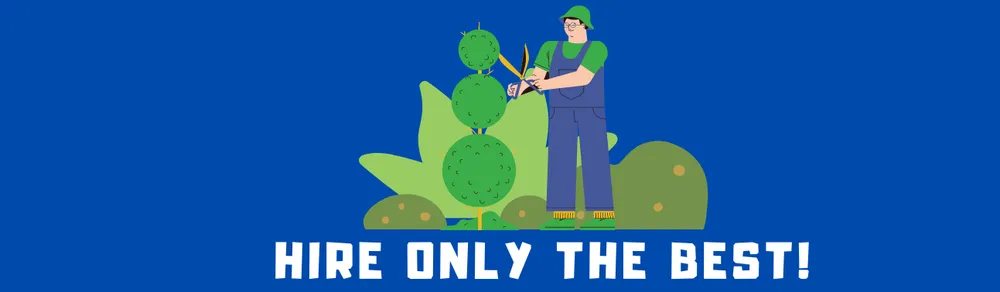 Professional yard cleanup service for beautiful yards across Schenectady, NY - Joel's LandScaping518