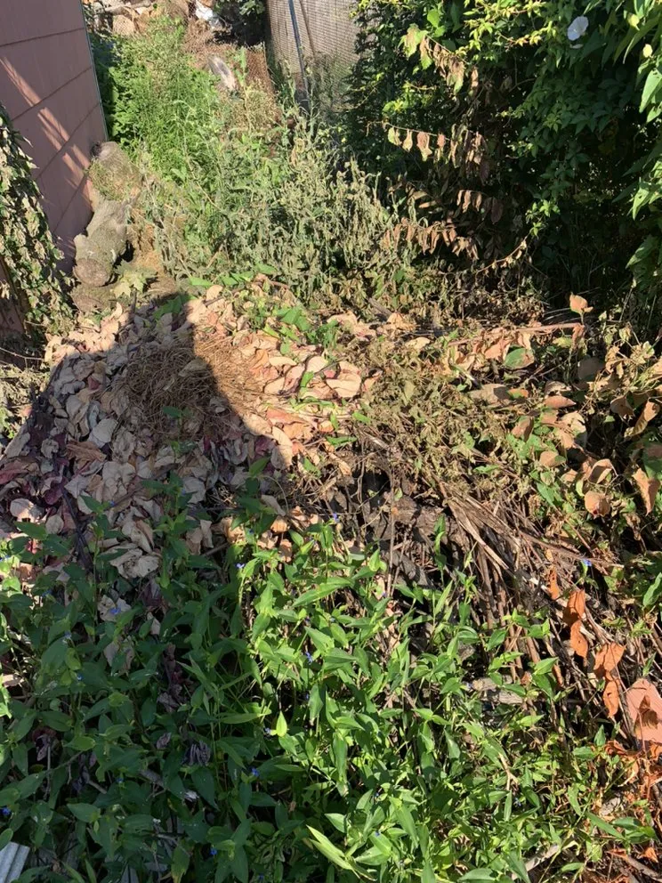 Expert landscape design in Ossining, NY - Joel's Lanscaping and Construction