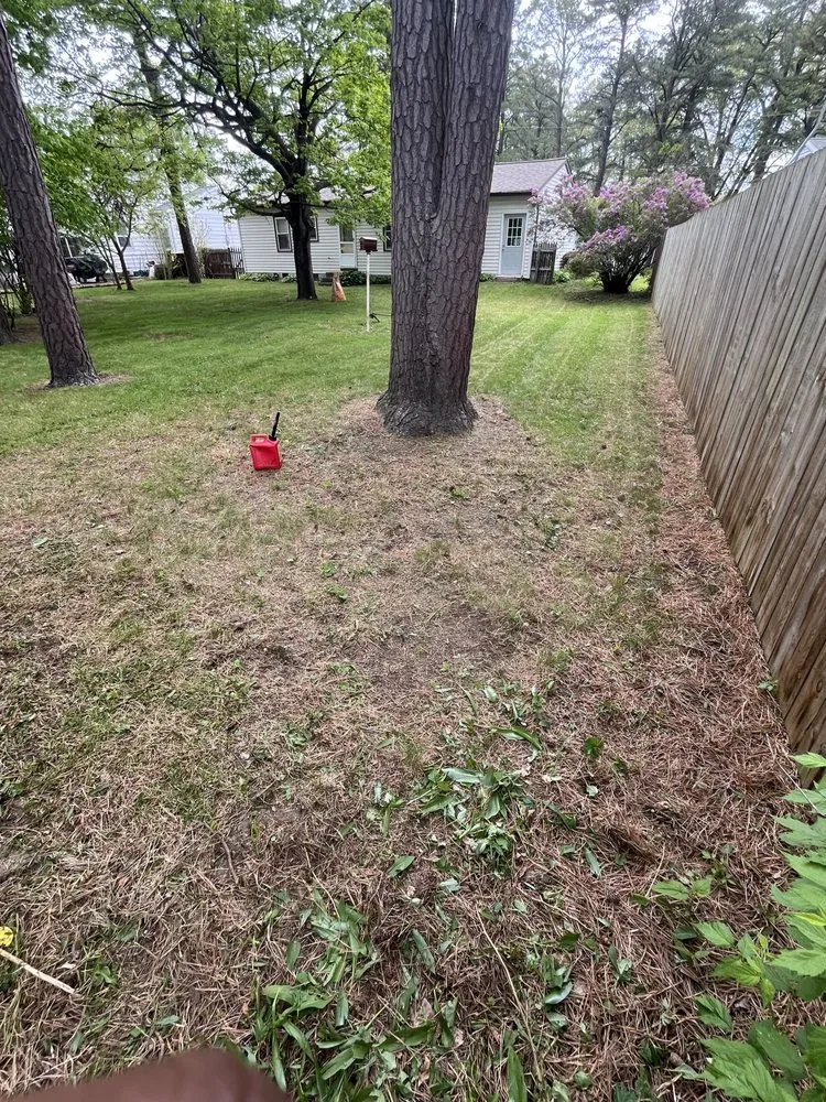 Affordable yard maintenance in Schenectady, NY by Joel's Lawn Care & Clean Up