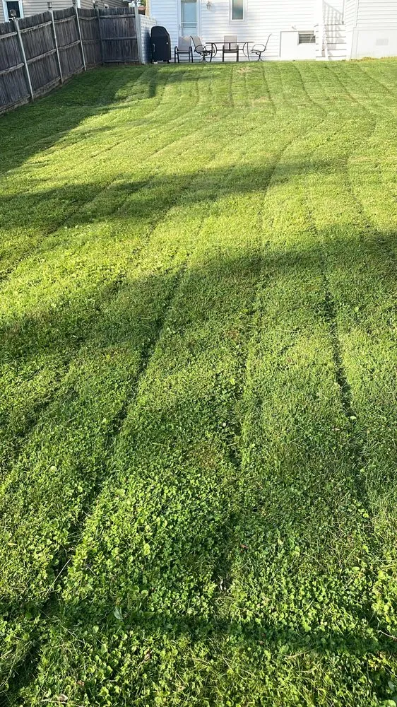 Professional yard cleanup service in Schenectady, NY - Joel's Lawn Care & Clean Up