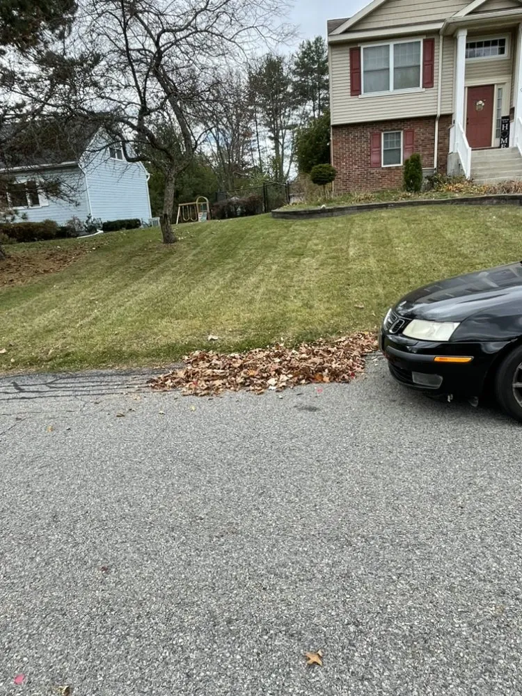 Top-rated landscaping services experts serving Schenectady, NY - Joel's Lawn Care & Clean Up