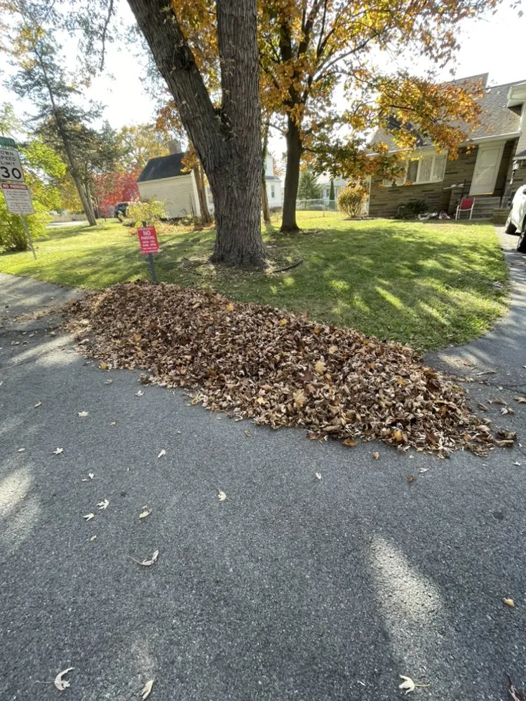 Affordable lawn care service for residential properties in Schenectady, NY by Joel's Lawn Care & Clean Up