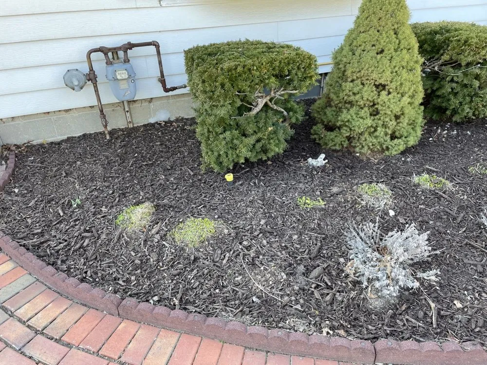 Reliable landscape design in Schenectady, NY - Joel's Lawn Care & Clean Up
