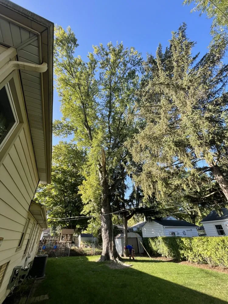 Expert landscape installation in Aurora, IL - Joels Tree Service