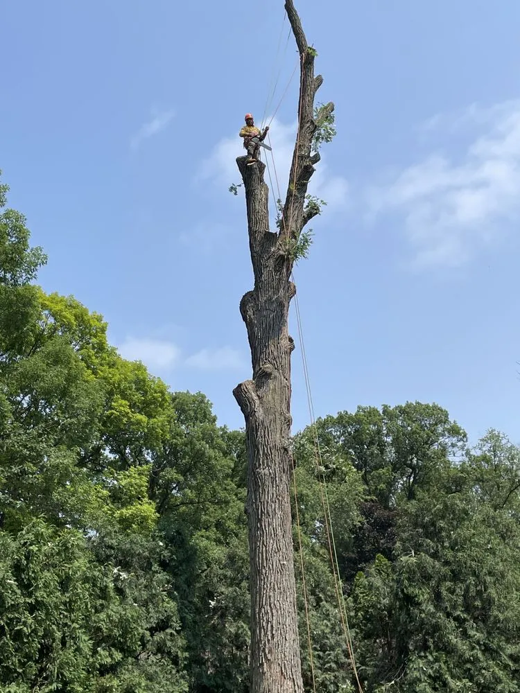 Expert garden landscaping near you in Aurora, IL by Joels Tree Service