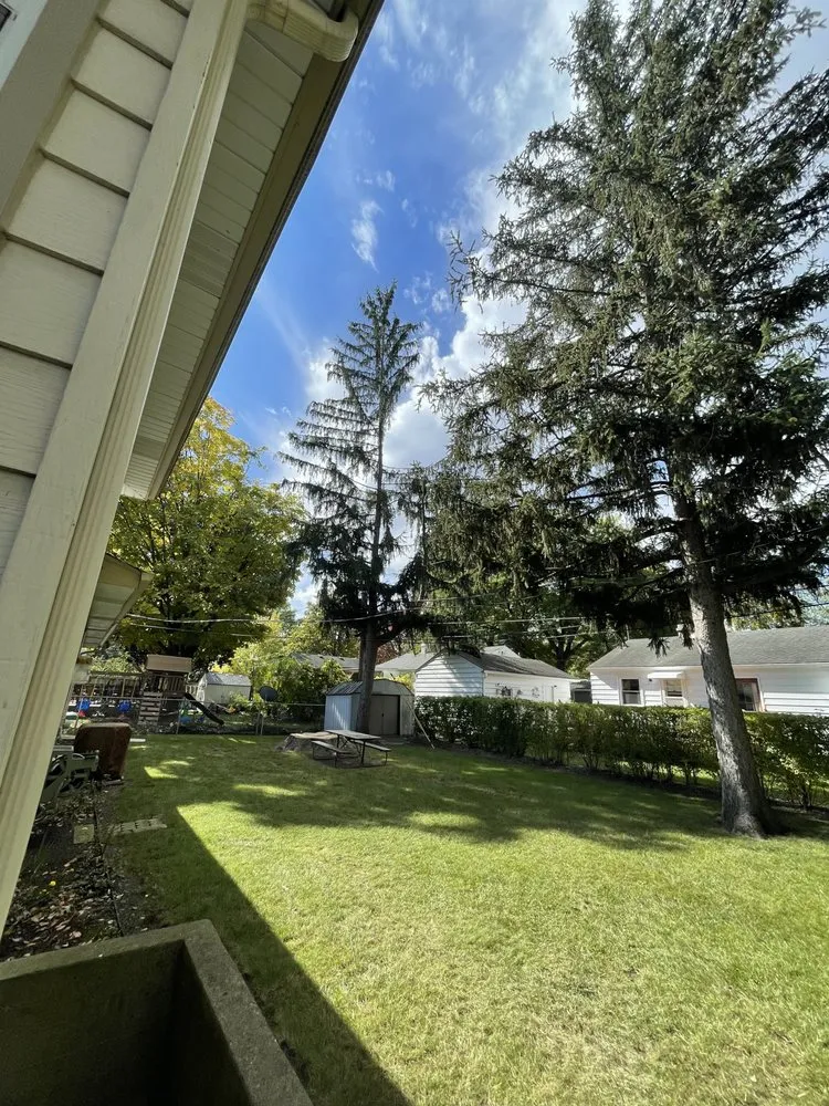 Top-rated yard maintenance in Aurora, IL - Joels Tree Service