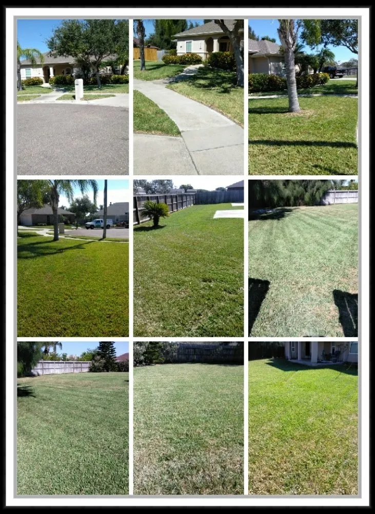 Professional outdoor landscaping in Corpus Christi, TX - JoeMichael's Lawn Maintenance