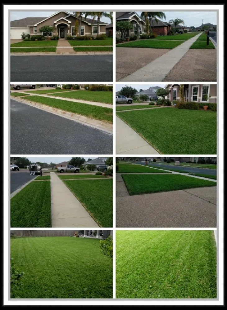 Reliable yard cleanup service for homes across Corpus Christi, TX - JoeMichael's Lawn Maintenance