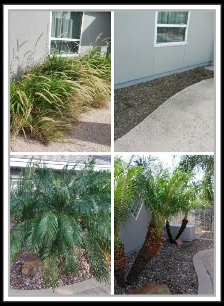 Expert landscaping services in Corpus Christi, TX - JoeMichael's Lawn Maintenance