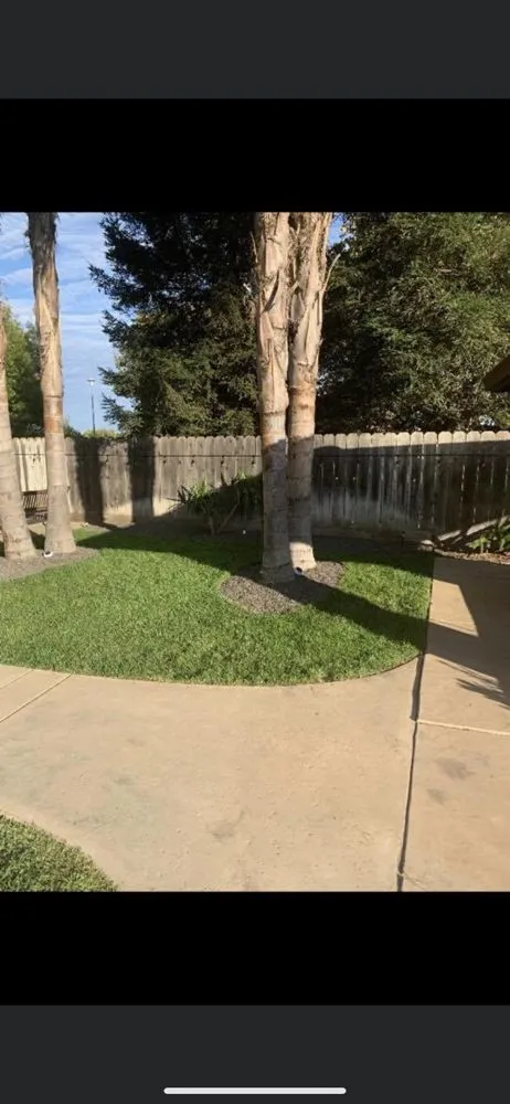 Local yard maintenance for homes in Manteca, CA by Joes 209 Yard Services